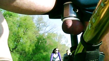Zwei Katzen oben auf dem Fahrrad . pono filme gratis